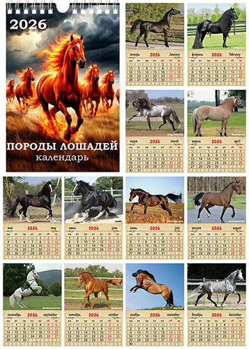 Перекидной календарь на 2026 год - Породы лошадей